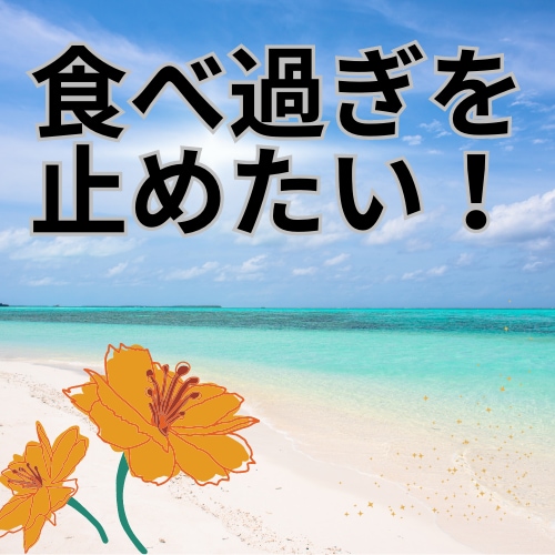 衝動が落ち着くまでお話聞きます 経験者より☆食欲が落ち着くこと、役に立ったことお伝えします イメージ3