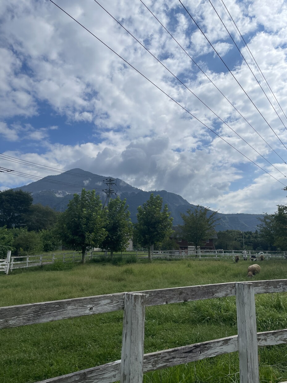 話をお聞きいたします 今の心の悩みや状態をお聞きし、安心していただけるようにします イメージ1
