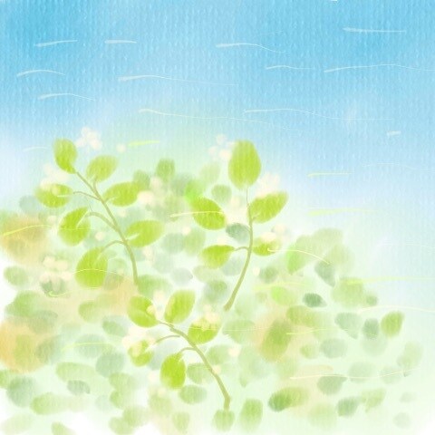 あなたを守る力をお伝えします ⭐︎これからのあなたの助けになります⭐︎ イメージ5