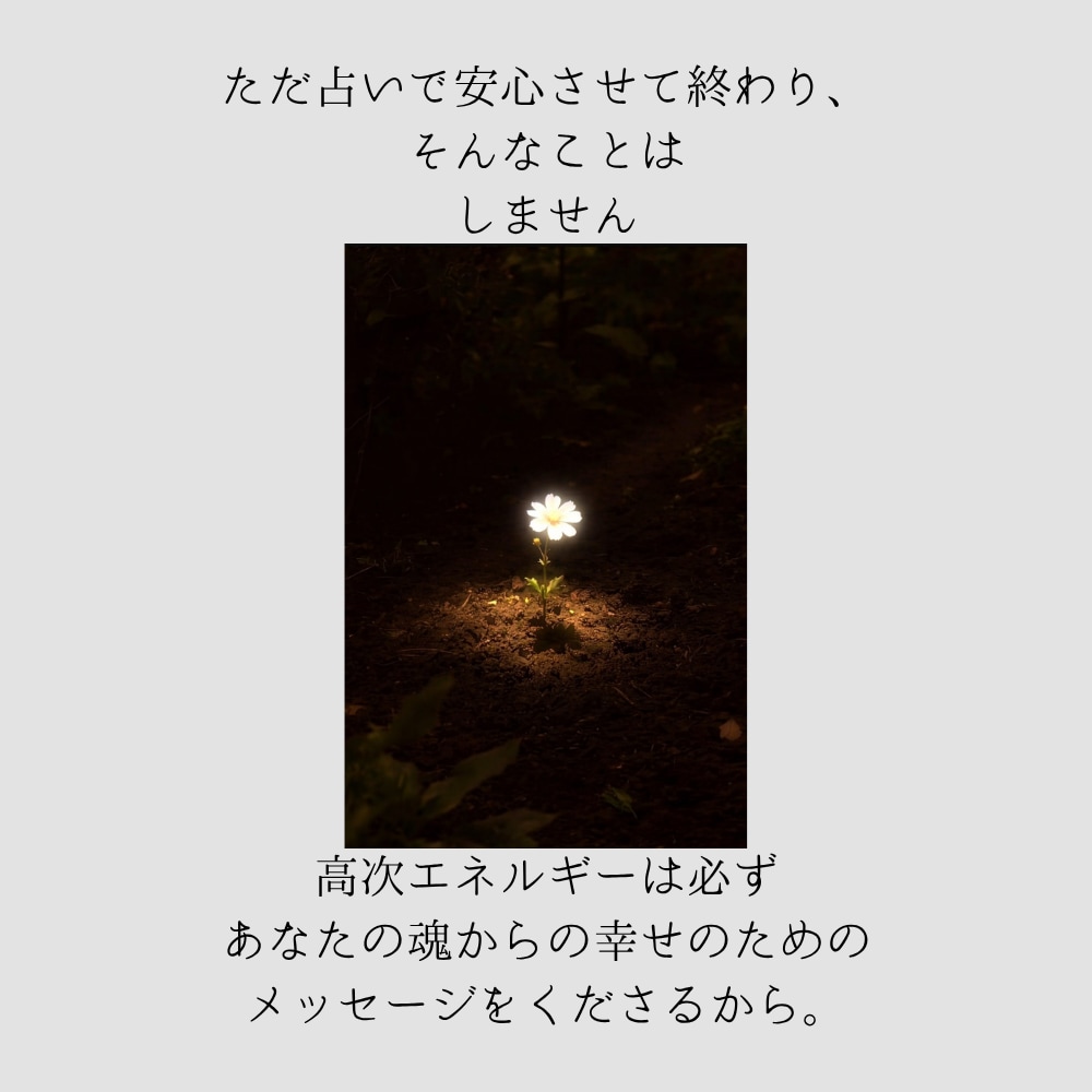 お悩みを霊視で根本から改善し幸せ呼び込みます 霊視で貴方な悩みの根本を癒し、クリアになるまで寄り添います イメージ7