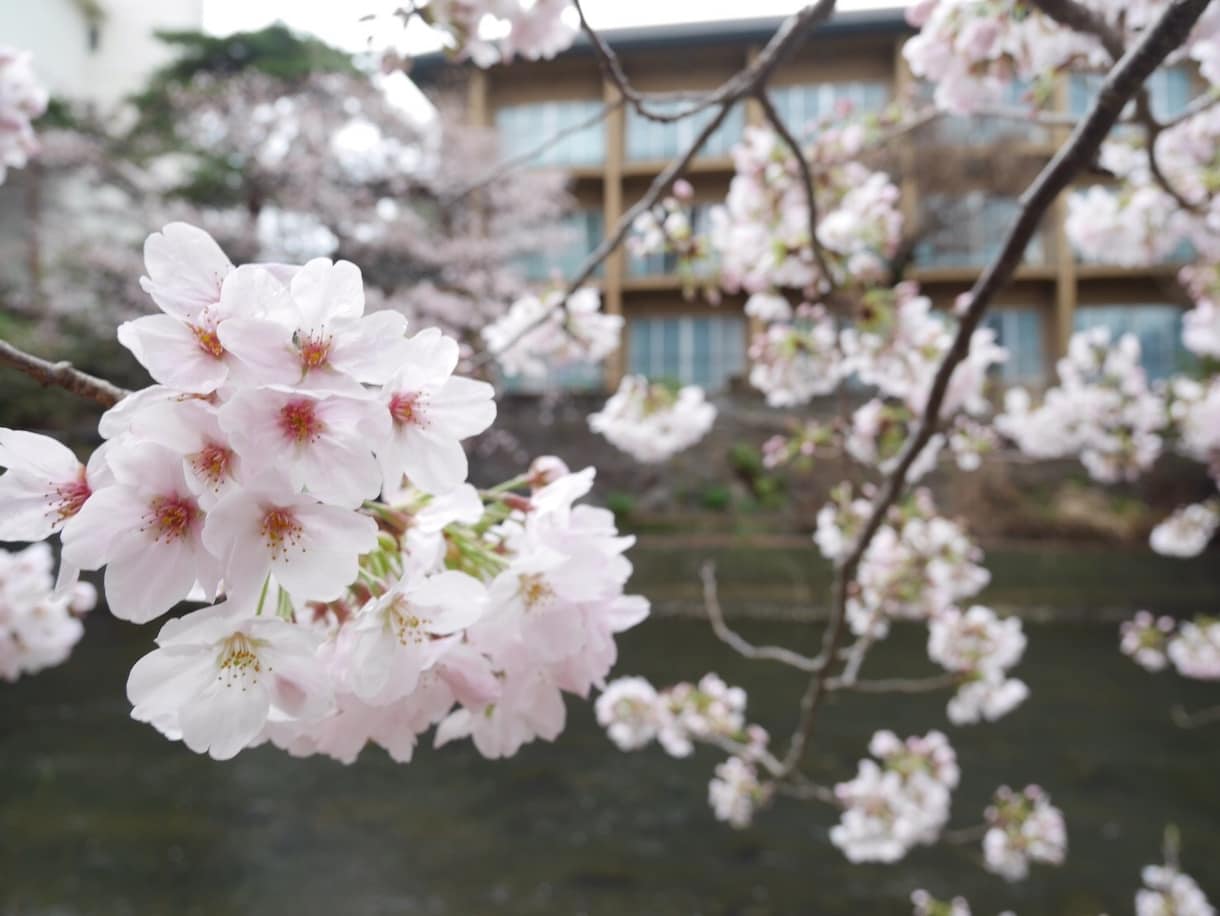 あなたの恋愛相談にのります これが最後の恋にしたいと思っているあなたへ イメージ1