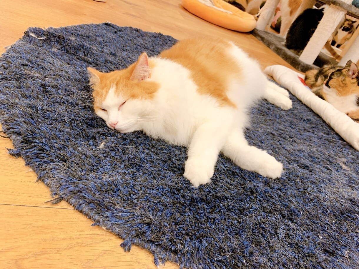 話したいことを話したいだけ☆チャットで聞きます 1時間みっちり相談したいor1日ゆったりお話したい人向け☆ イメージ2