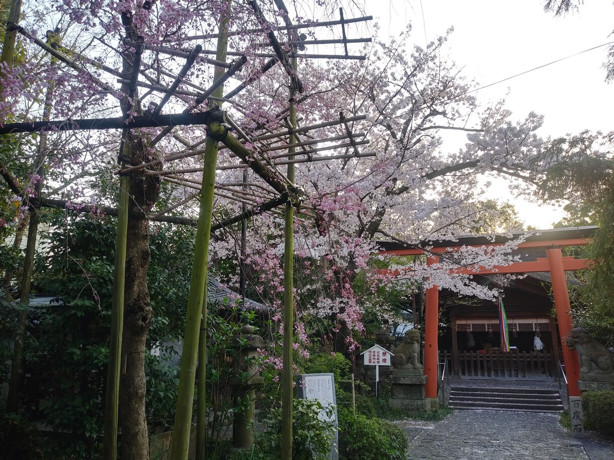 神社の御由緒調べます 近世の史料を使ってお宮の御由緒を調べます。 イメージ1