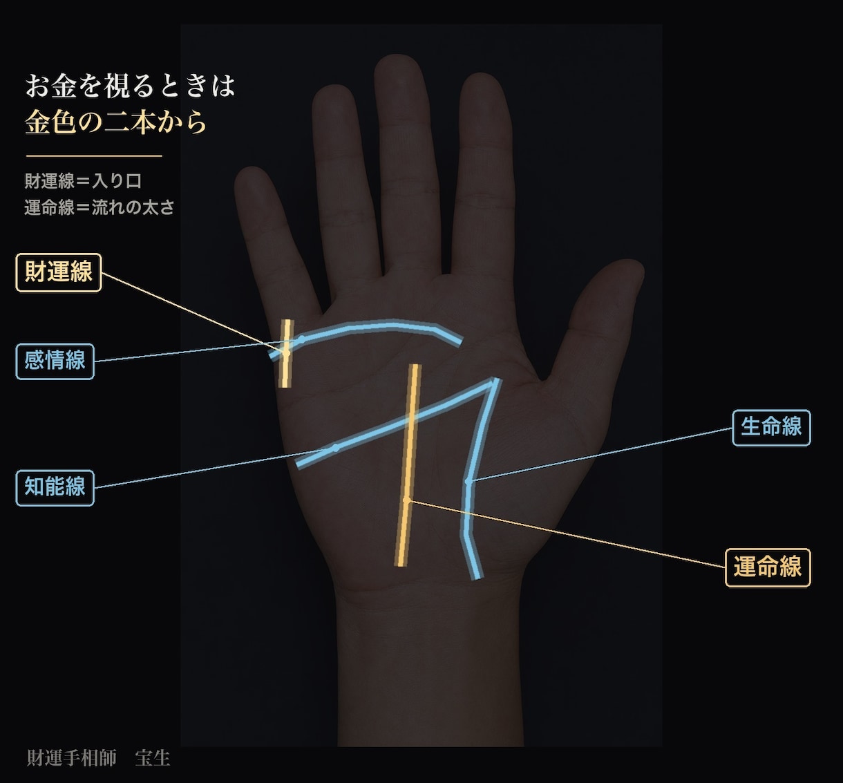 事業をやる方の財運を手相で鑑定します 独立・拡大・締める年を、手から読みます イメージ3