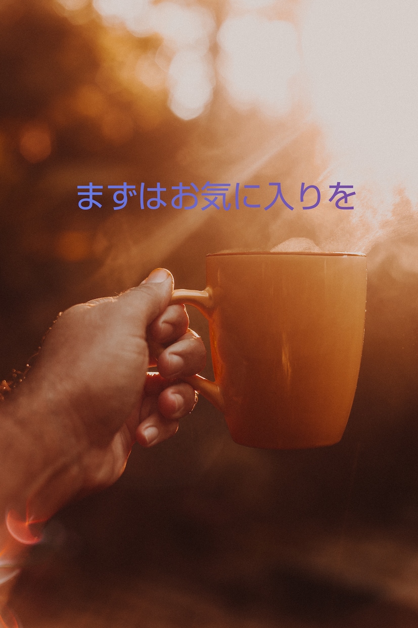 大特価⭐️ココナラ販売0から1への道のり教えます スマホで副業決定版☆プラチナランクまでの道のり攻略 イメージ2