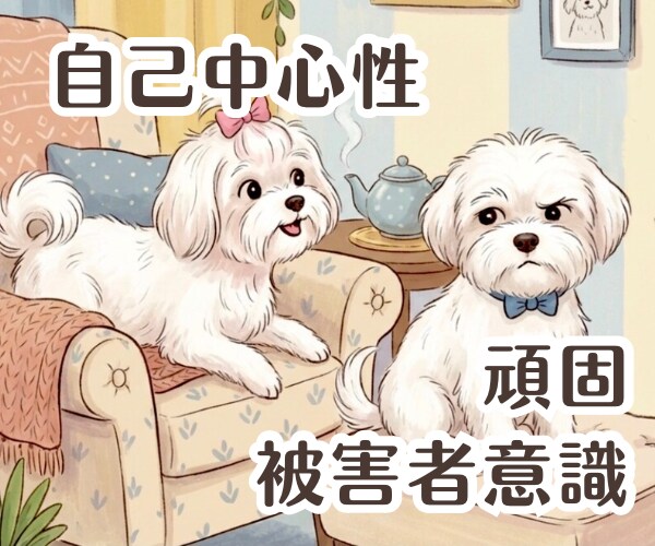 親に振り回される人生、もう終わりにします 【大人の親子関係】自分を生き直すために、今こそ心を取り戻す！ イメージ7