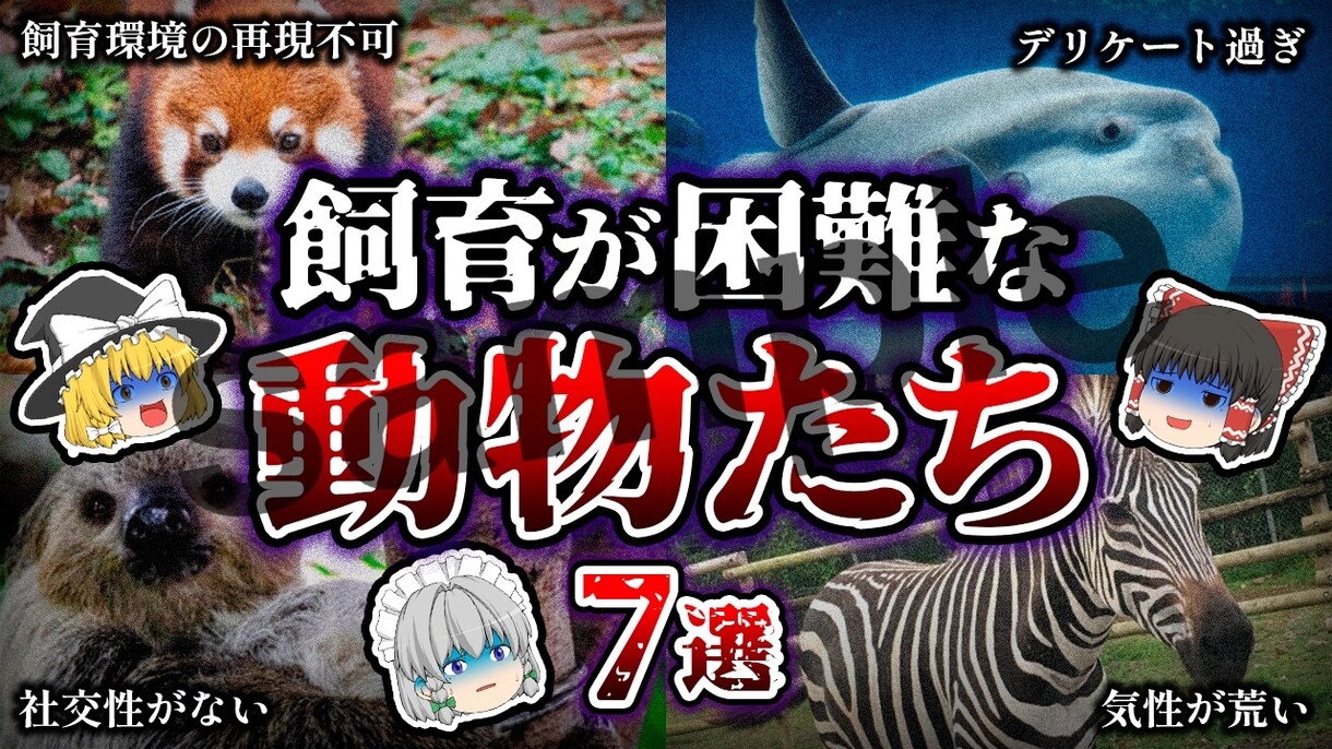 YouTube動画のサムネイル作成いたします クリック率の高い目を引くサムネイルを作成いたします！ イメージ4