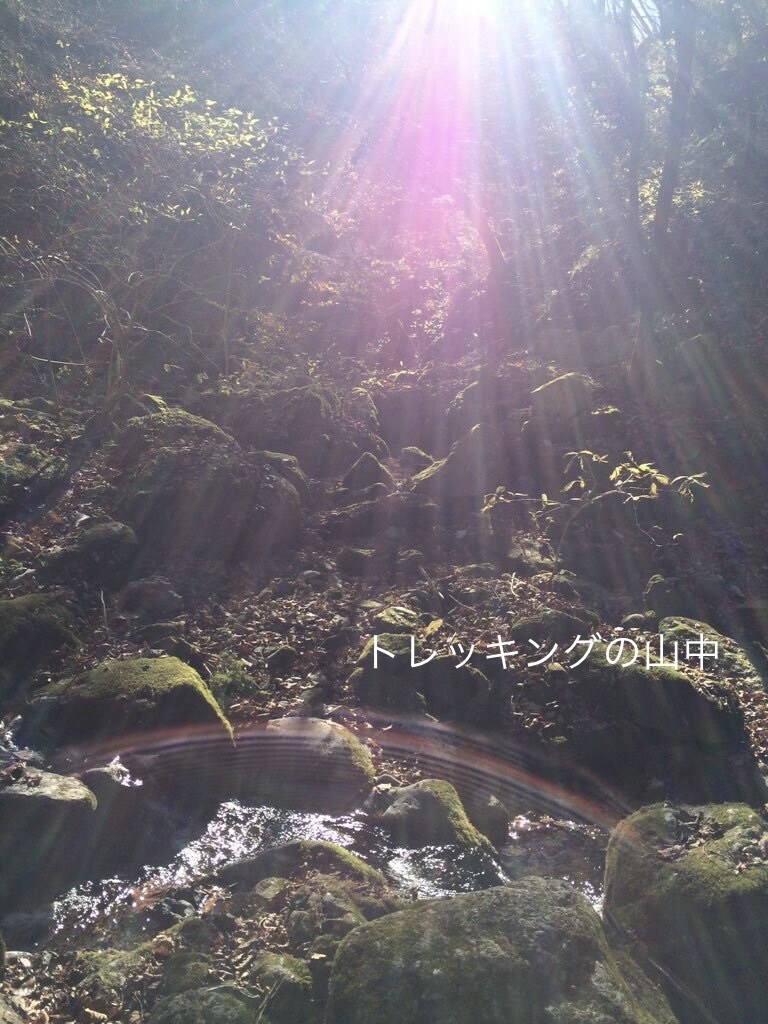 電話占い⭐︎天性霊感・エンパスでバシっと鑑定します ⭐︎霊感カード占い: 恋愛・仕事・人間関係など占います⭐︎ イメージ5