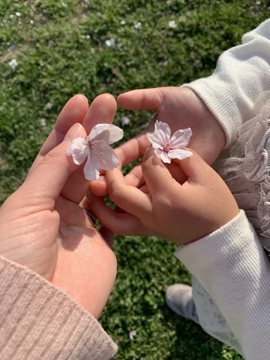 現役保育教諭ワーママが子育ての悩みに答えます 疲れちゃったママ、あなたの心を軽くします。なんでもどうぞ。 イメージ2