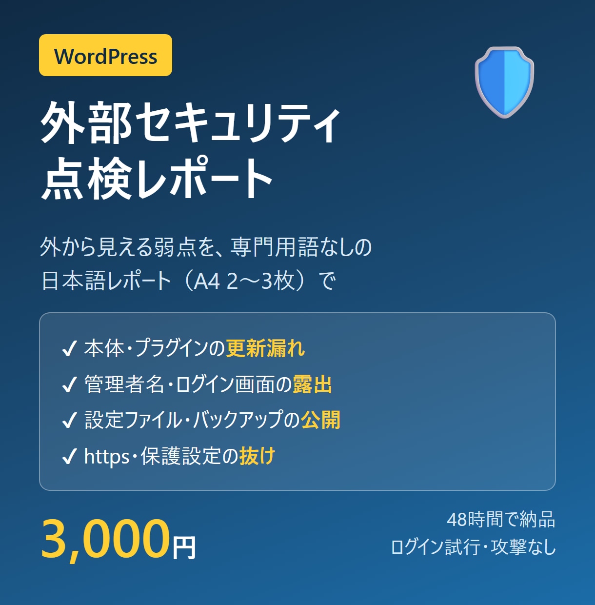 WordPressサイトの弱点を外から点検します 外から見える弱点を日本語A4 2〜3枚に。攻撃なし・48時間 イメージ1