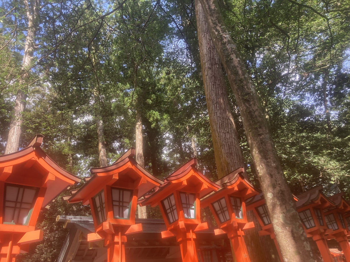 リピーター様へ！幸せになってもらう為の占術をします 得意占術占い！あなたが必ず笑顔になる為の全力祈祷付きです！ イメージ2