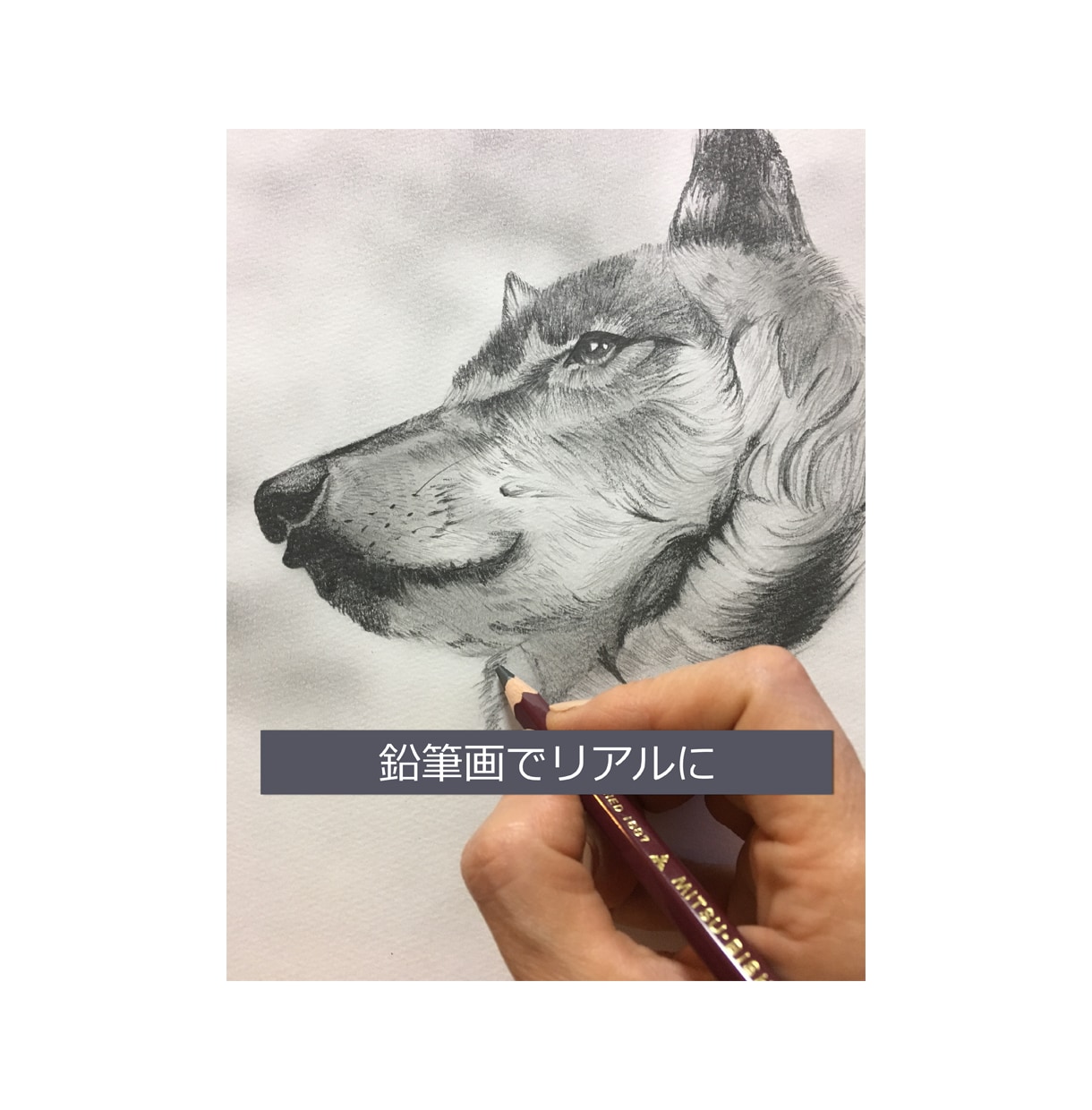 鉛筆で手書きの愛犬との特別な瞬間を描きます 世界でたった1枚の宝物をアートとして残しませんか？ イメージ1