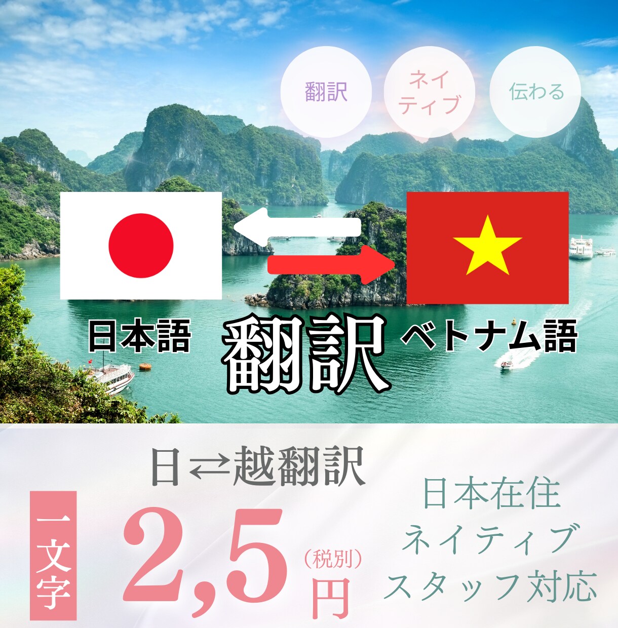 ベトナム語翻訳専門文書もネイティブチェックします ベトナム人スタッフが担当！1文字2.5円〜 イメージ1