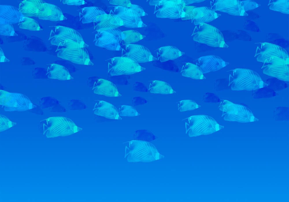 Photoshopでのイラストを承ります 難しく時間がかかって面倒なイラストをお任せください。 イメージ7