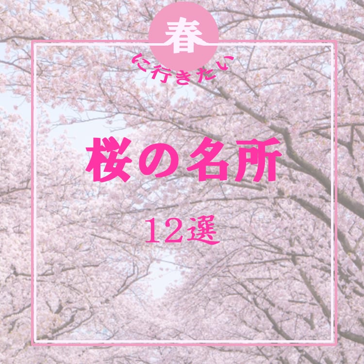低価格◎目に止まりやすいバナー作ります 修正無制限！丁寧に対応します。 イメージ3