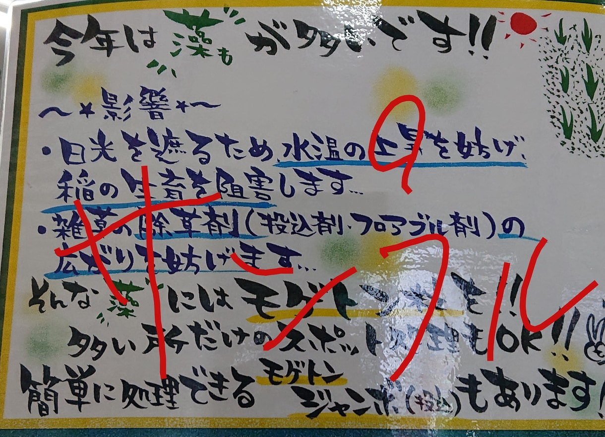 筆ペンで手書き★POP作成します 筆ペンでのpopです。下手可愛文字★ イメージ1