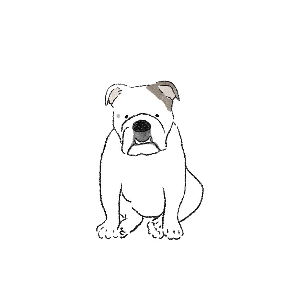 可愛いおしゃれなペット似顔絵をお届けします ペットや飼い主様の似顔絵、その他対象でもご相談に応じます。 イメージ5
