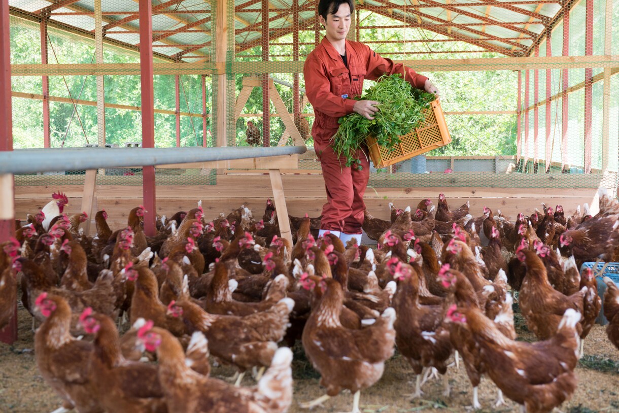 市場出荷しない農業経営の相談にのります 自分の商品としてブランディングし、生産物を売りましょう！ イメージ1