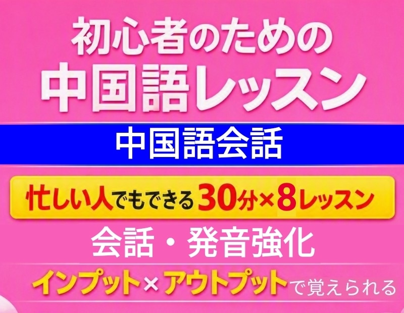 丨忙しい人のための丨【月額】中国語レッスンします ✅月４〜８回フレキシブルに無理なく続ける中国語会話 イメージ1