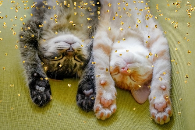初回限定価格！金運UPのチャクラバランス整えます 貯金したい。金運UPしたい。チャクラを整えて開運に導きます！ イメージ9