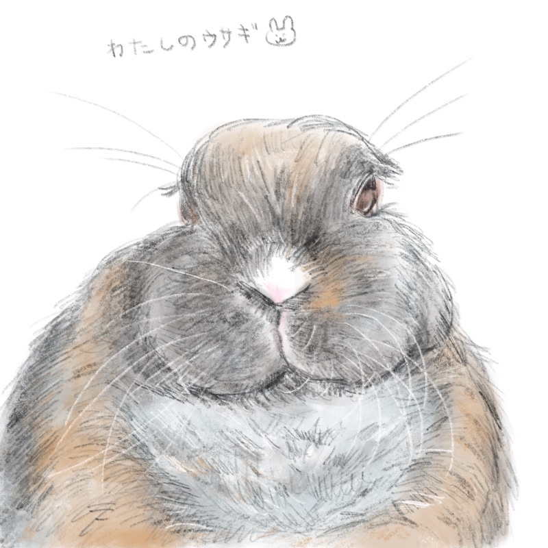 柔らかいタッチでペットのイラストを描きます 大切な家族の一員をイラストにしてみませんか？ イメージ3