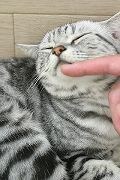 いますぐ話を聞いてほしい！恋愛相談なんでも聞きます 片思い⭐失恋⭐愚痴⭐ノロケ⭐などお悩み解決もおまかせあれ♪ イメージ9