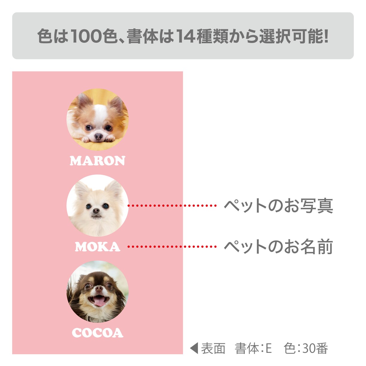 3匹用　シンプルデザイン　うちの子名刺お作りします 【両面印刷100枚】送料無料　セミオーダー　QRコード入り イメージ3