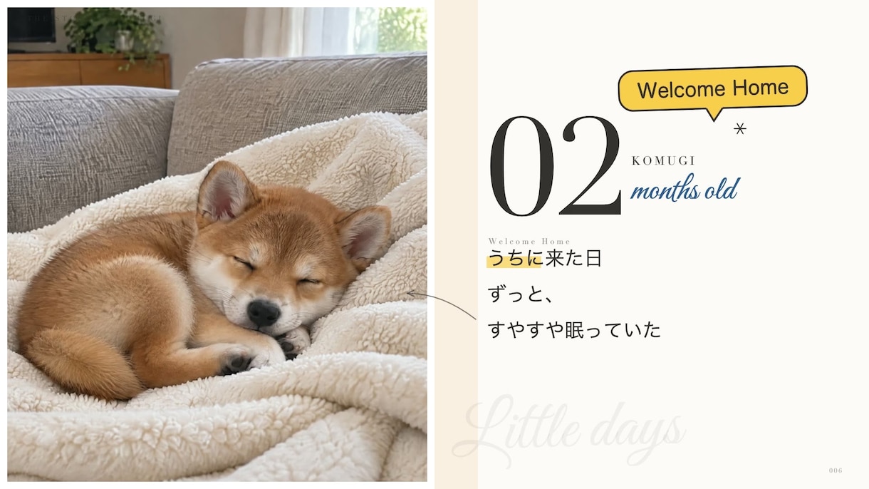 クーポン配布中 雑誌風うちの子動画作ります 9/30までお気に入りで30%オフ 雑誌をめくる犬猫動画 イメージ2