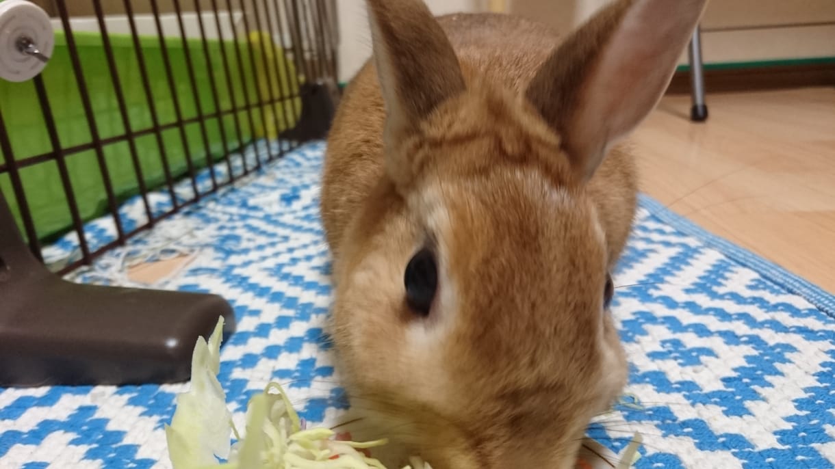 ノリツッコミ、おしえます。 イメージ2