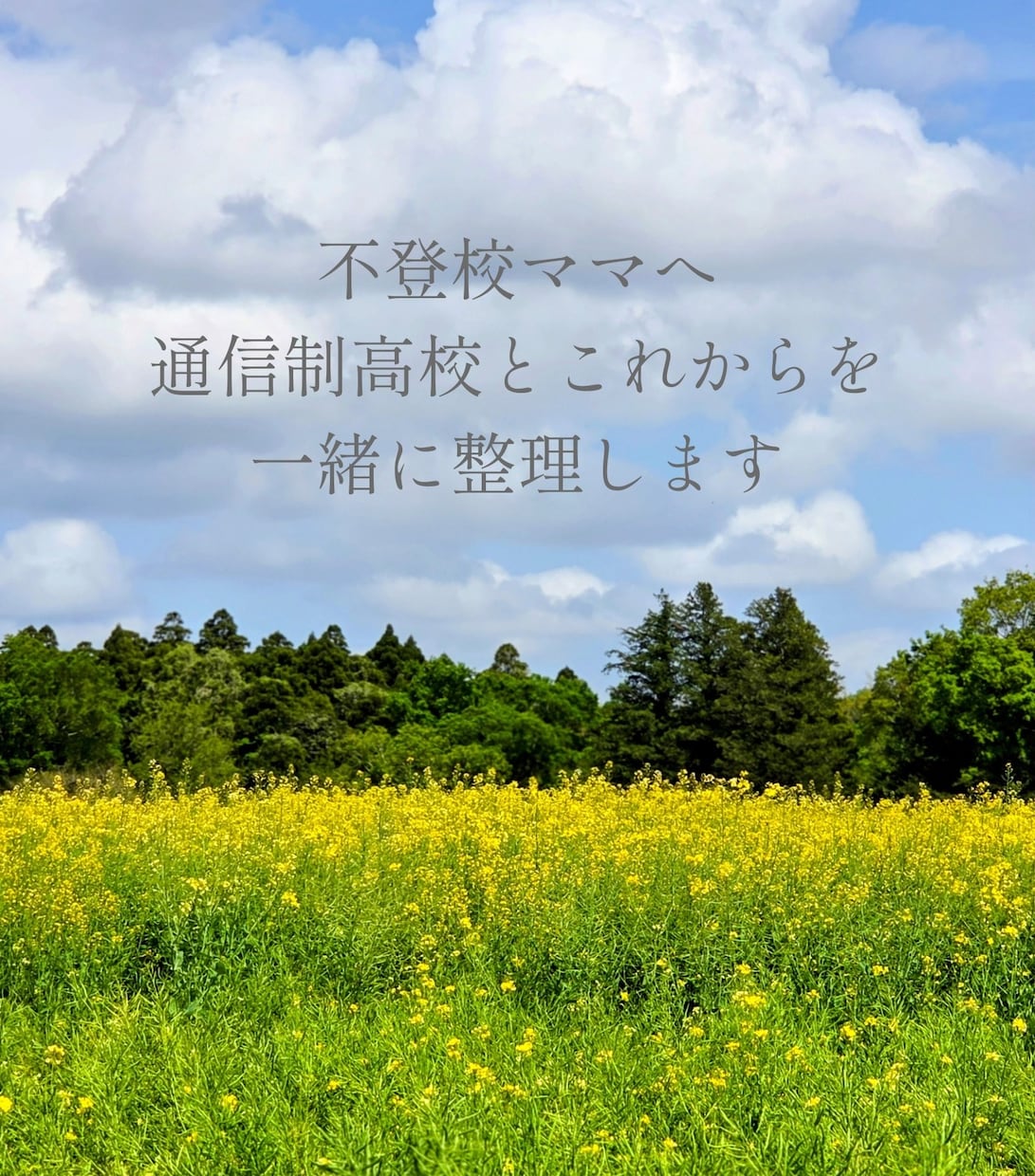 不登校ママへ通信制高校とこれからを一緒に整理します 何から考えたらいいかわからない方、情報が多すぎて疲れている方 イメージ1