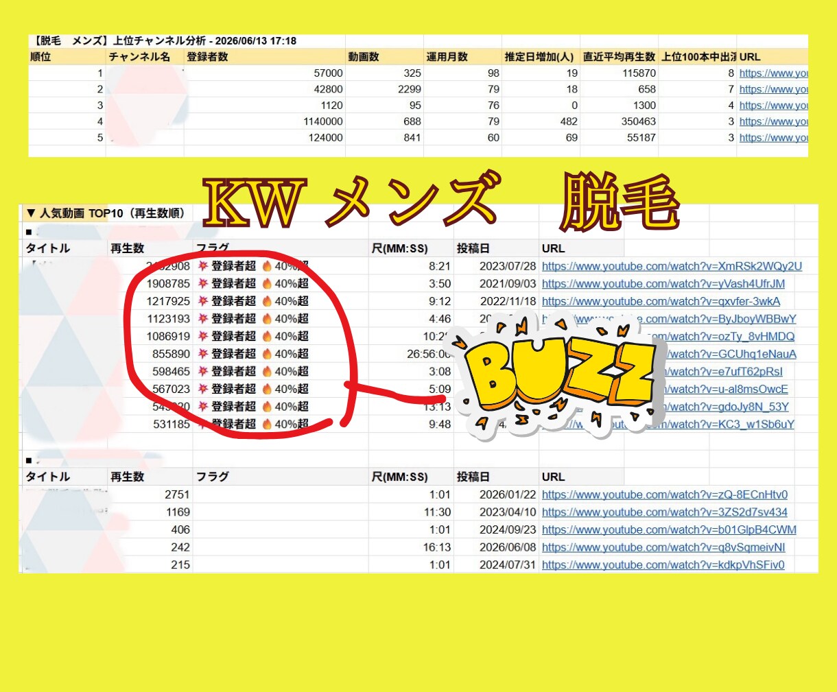YouTubeリサーチ｜伸びている企画を調査します 上位5チャンネルの競合を分析し、バズ動画を見つけやすくします イメージ7