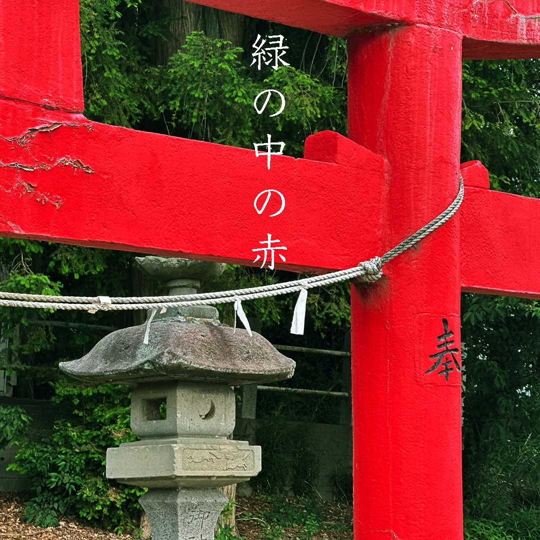 羽生市 事業、SNS画像、POP製作承ります 羽生市で活躍の事業様応援！！　画像、POP作成致します！ イメージ1