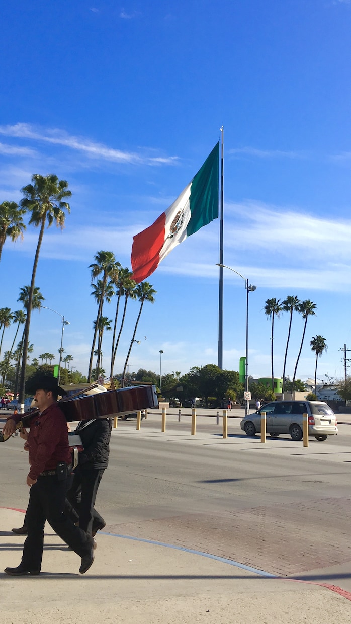 メキシコ•エンセナダから最新の現地情報お伝えします メキシコの情報ならなんでも！現地リサーチも可能です！ イメージ1