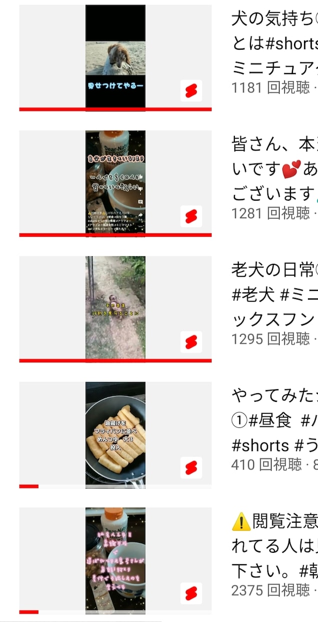 日常の生活・動物の動画作成をお受け致します 最高再生回数ショート動画5000回です イメージ2