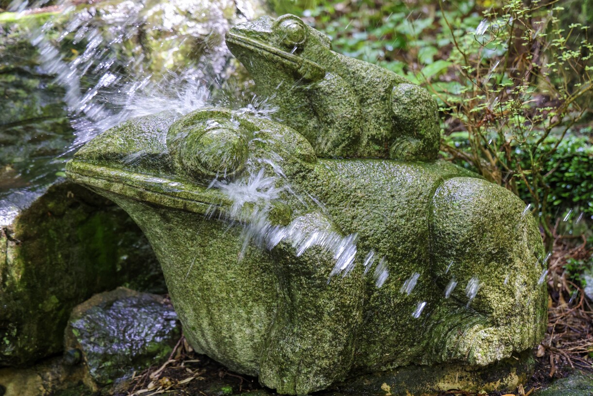 あなたの本当の価値を教えます なぜ、あなたが存在しているのか、丁寧に詳しく説明します。 イメージ10