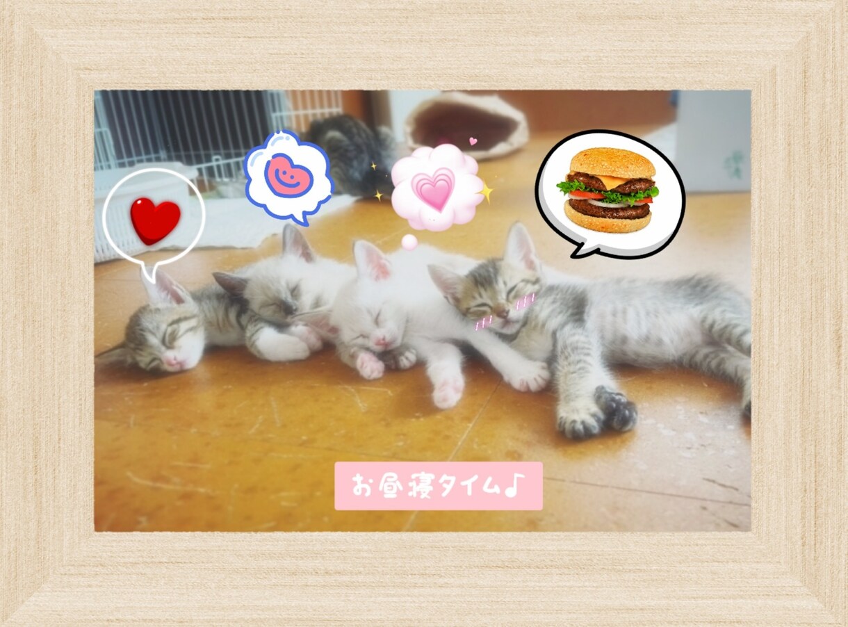 ペットの写真をアレンジしてご提供いたします ペットの写真をさらに可愛らしく、または面白く画像加工します♪ イメージ7
