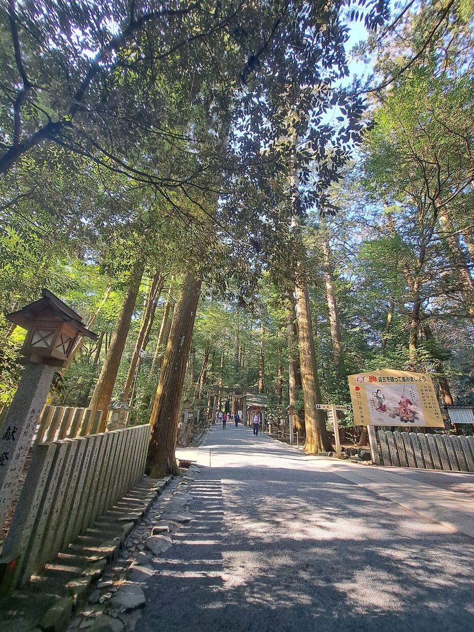 恋愛・結婚の占いでございます 様々な観点からあなたの恋愛について占います！ イメージ1