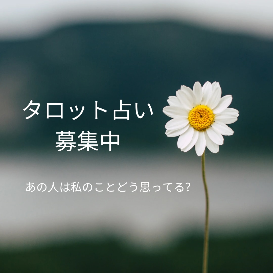 あの人の気持ちを占います タロット占い　あの人の気持ち　北斗七星 イメージ1