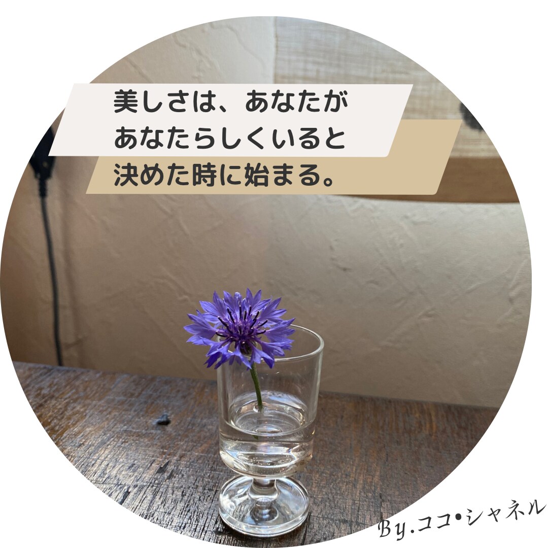 元保育士、小学校教諭がまったりお話聞きます 電話を切った後少しでもあなたの心のモヤモヤが晴れますように♪ イメージ3