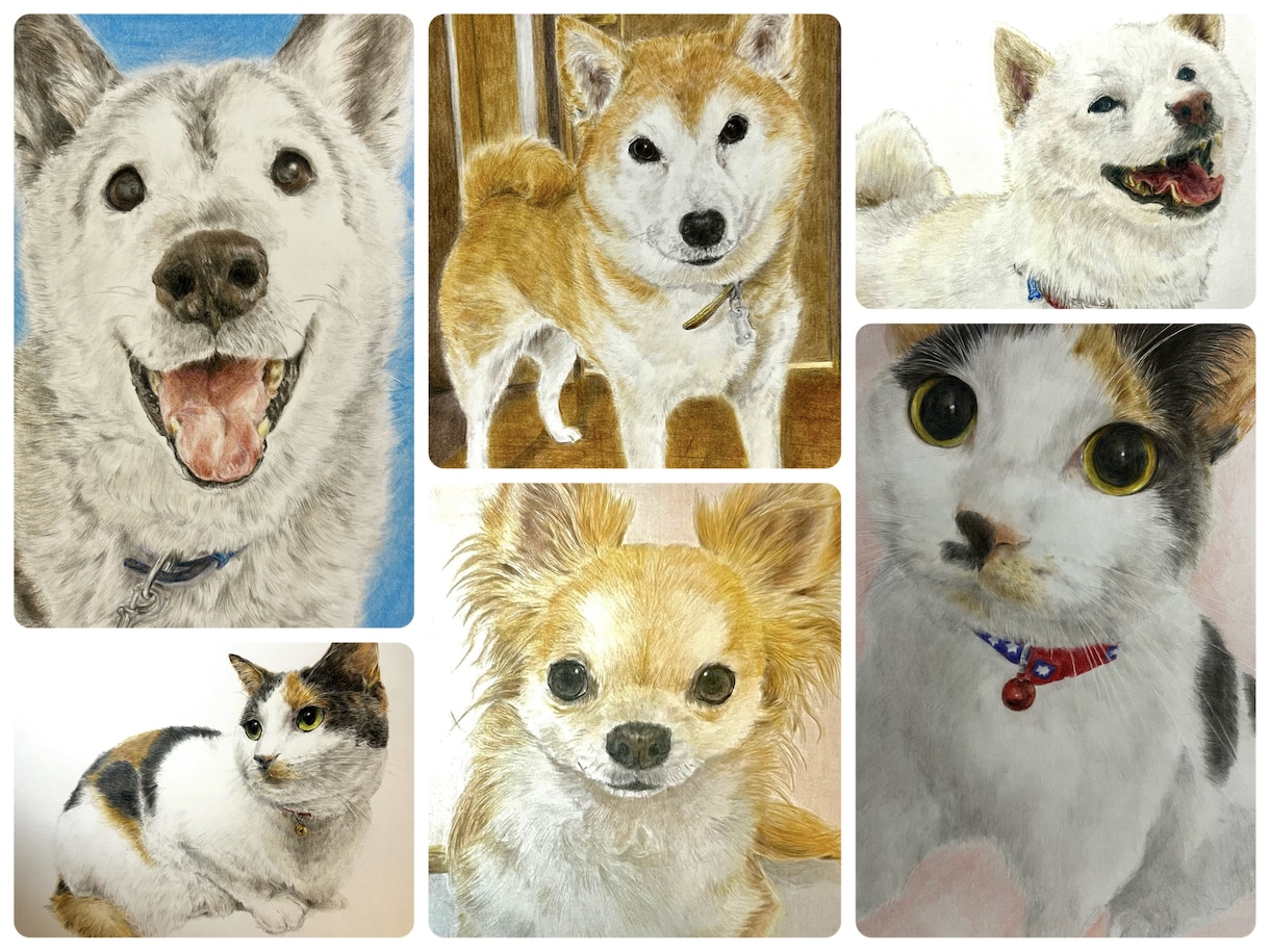 心を込めたペットの似顔絵描きます 大切な家族を色鉛筆で命を吹き込みます イメージ1