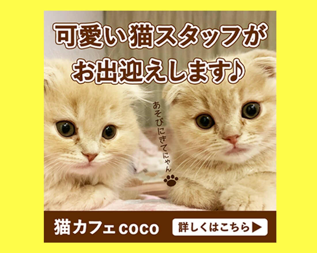 WEB画像心を込めてお作りします 【限定5名様】1,500円でお引き受けいたします！ イメージ6