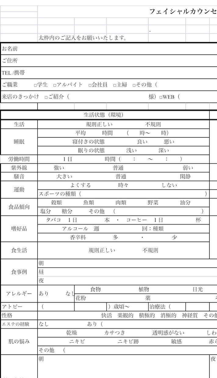 BODY・FAカウンセリングデータ送ります BODY・FACIAL用カウンセリングシートExcelデータ イメージ2