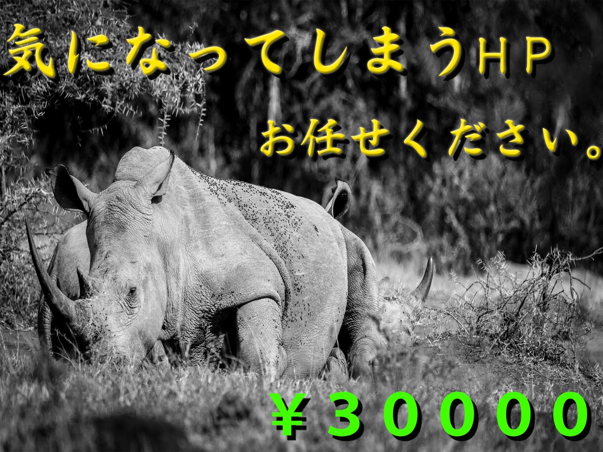 シンプルでおしゃれなサイトを制作します 低コストでしっかりその後もフォロー イメージ1