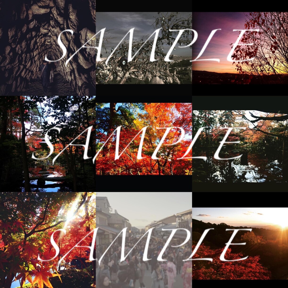 著作権フリーの写真素材をご提供します ★商品利用その他OK★世界中で撮ってきた写真です。Ver.③ イメージ9