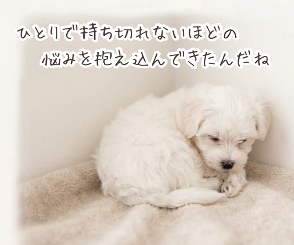 積み重ねてきた想い、丁寧に言語化します 【心理相談室】共感だけでは終わらない《核心》に触れる対話 イメージ4