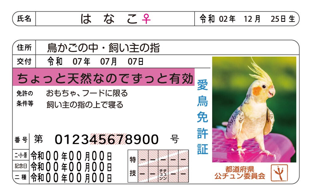 ペット免許証を最短3日で制作します 自社印刷だから安心＆スピード納品可能！ イメージ6