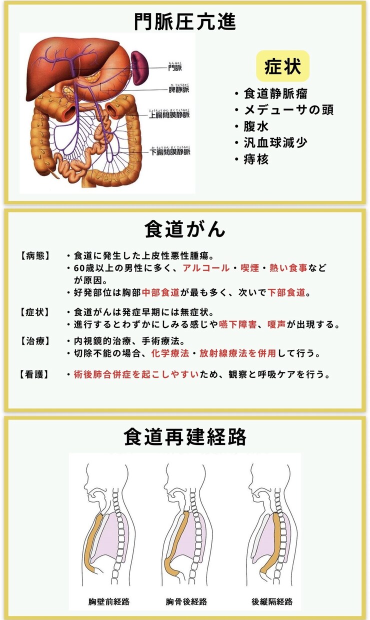 看護師国家試験 | 頻出疾患を徹底理解できます \効率よく勉強したいあなたへ/頻出疾患の要点をまとめた資料！ イメージ7