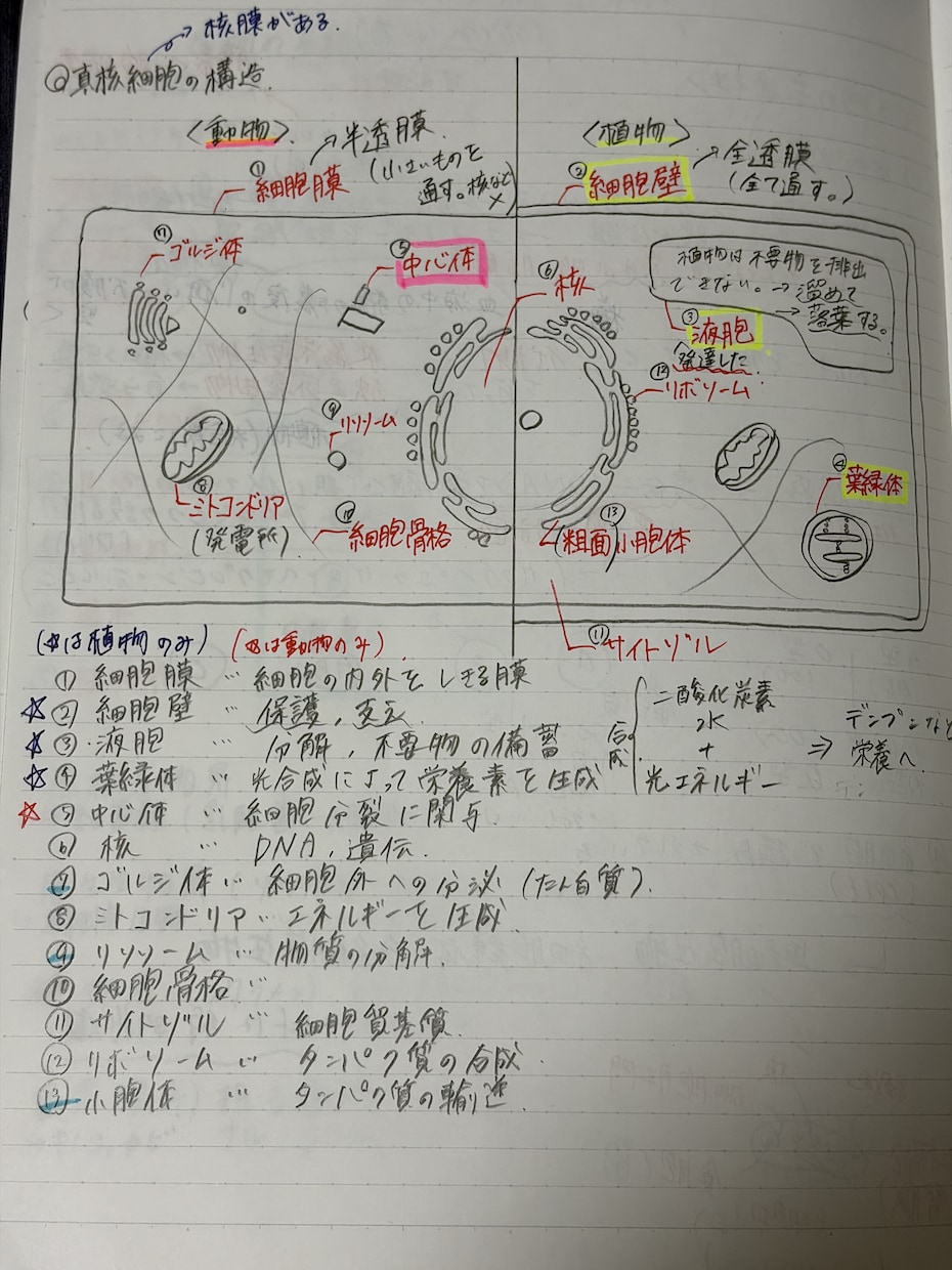 テストの成績アップのためのプリントを提供しています 小中高と成績トップの現役大学生がテスト点数アップの全てを伝授 イメージ3