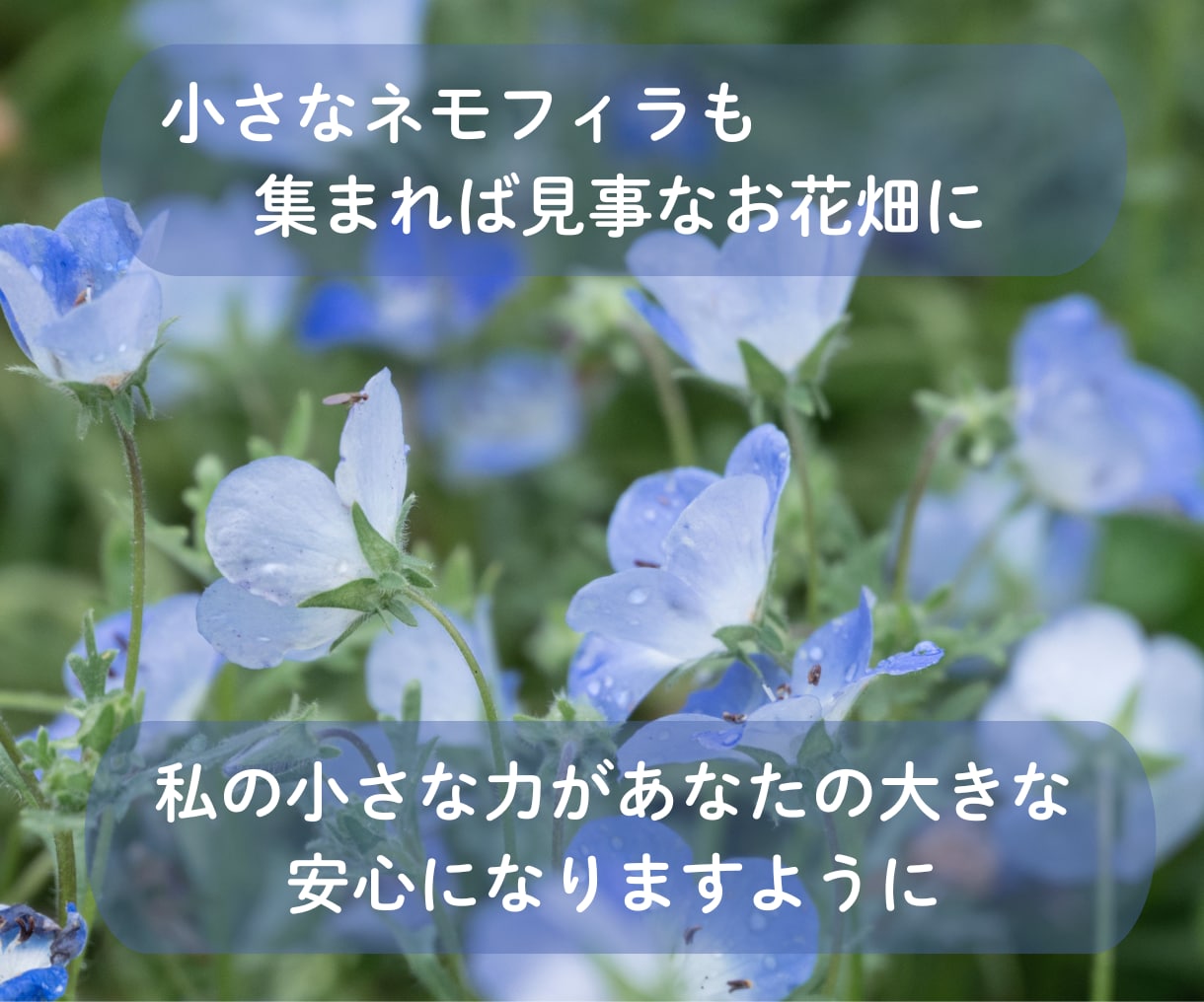 あなたの心の波を穏やかにします そっと寄り添い優しく包み込みます イメージ3