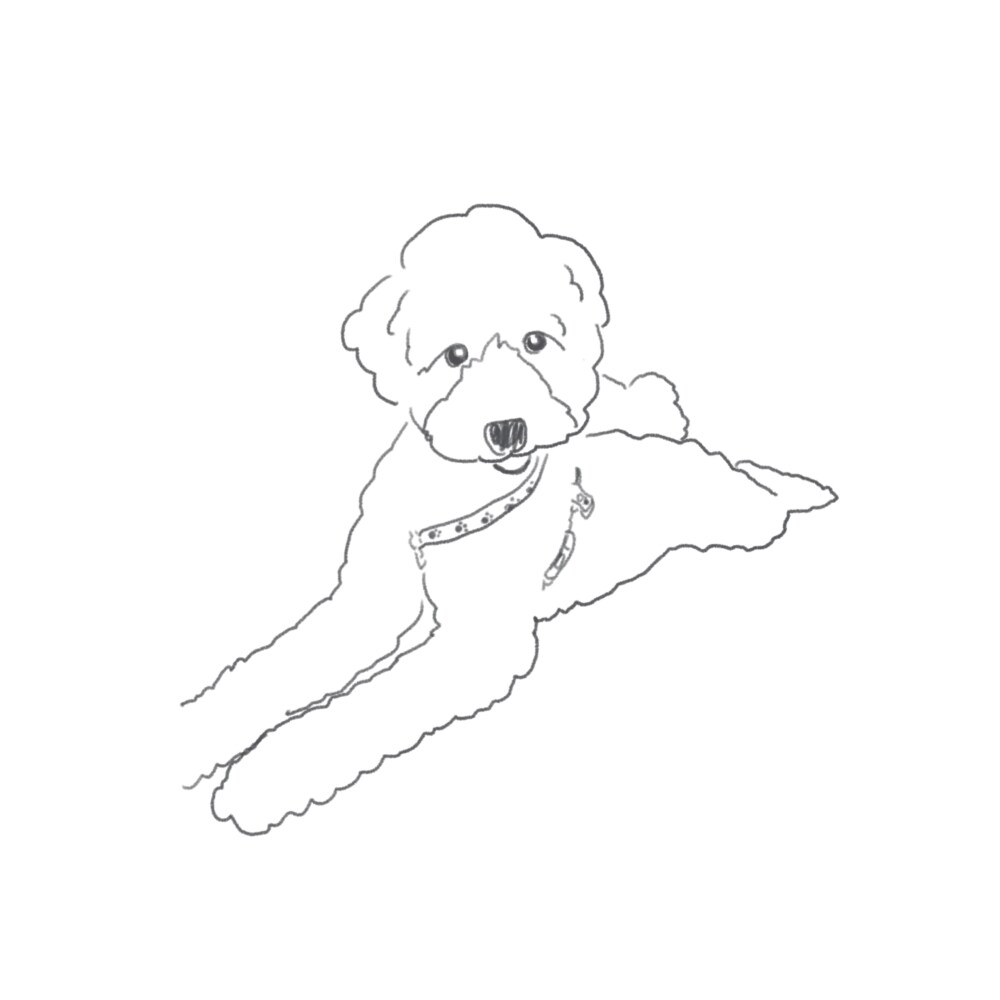ペットのお写真をゆるいラインアートで描きます ペットのイラストをゆるくラインアート(線画)で描きます! イメージ1